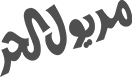 Logo 6